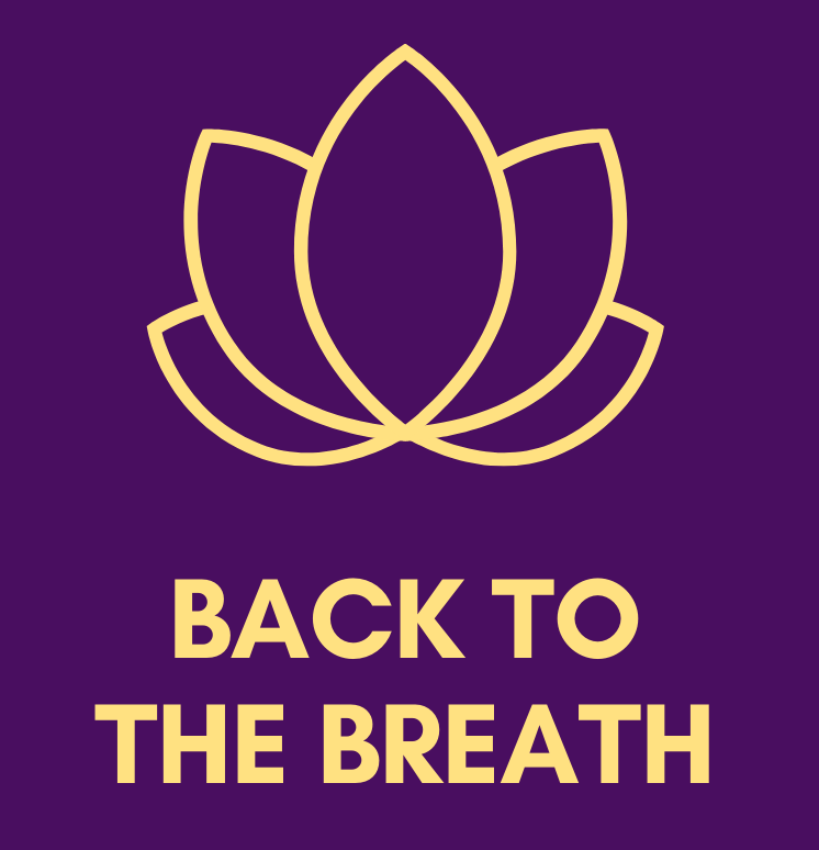 back to the breath